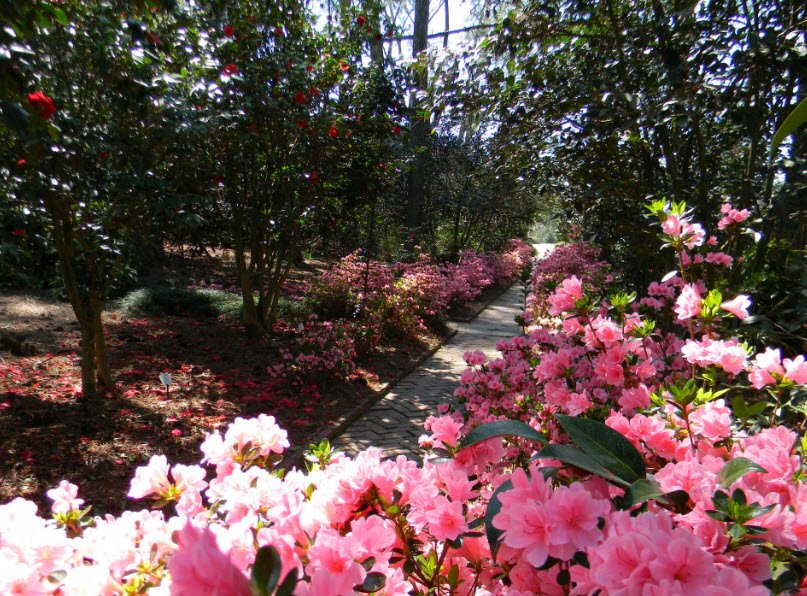 Massee Lane Gardens, United States